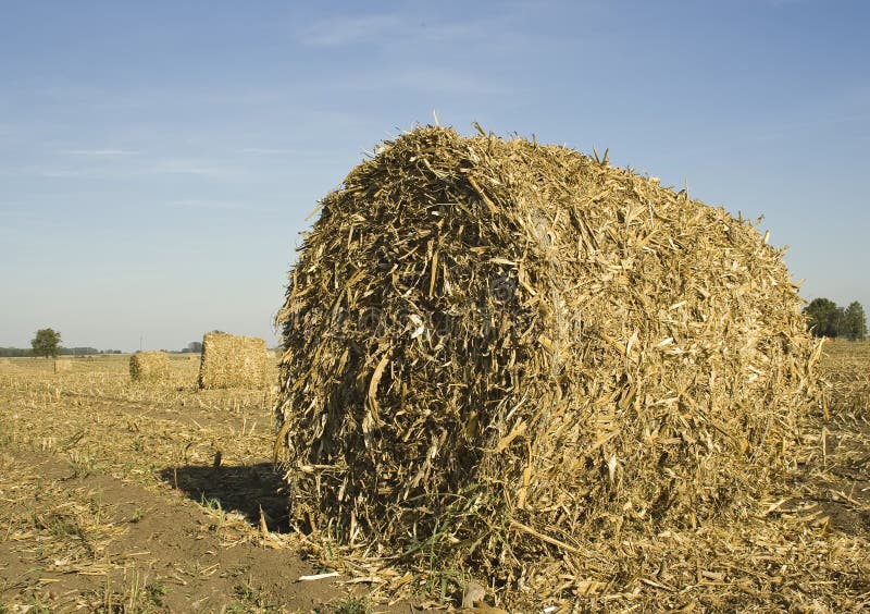 Corn bale close up stock image. Image of renewable, plant 12730823