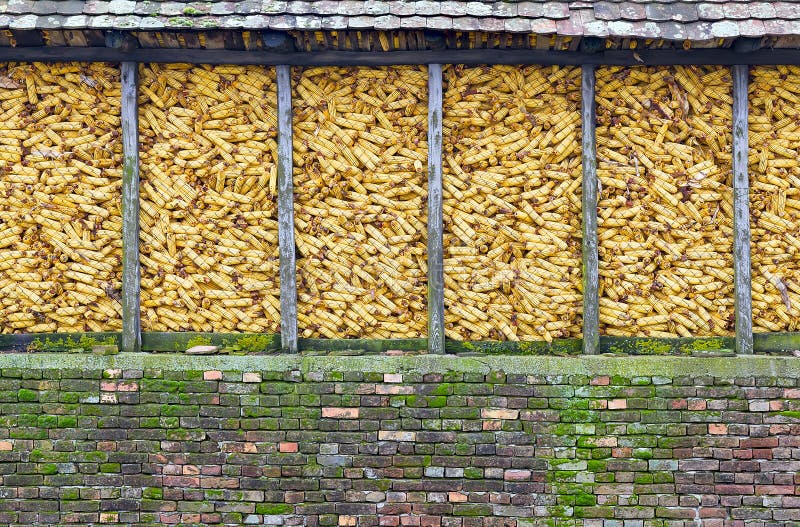 Corn barn stock image. Image of europe, grain, maize 51678337
