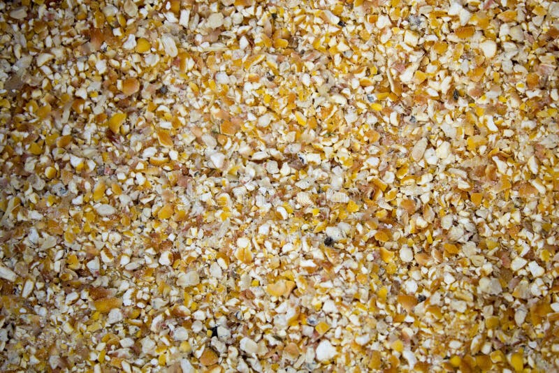 Corn Bran. Waste from Processing of Corn. Mixed Different Grain