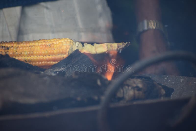 Corn burn in fire stock image. Image of burn, tasty 123796763