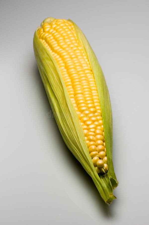 Corn on the cob