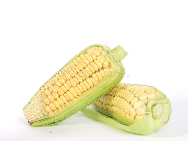 Corn on the cob