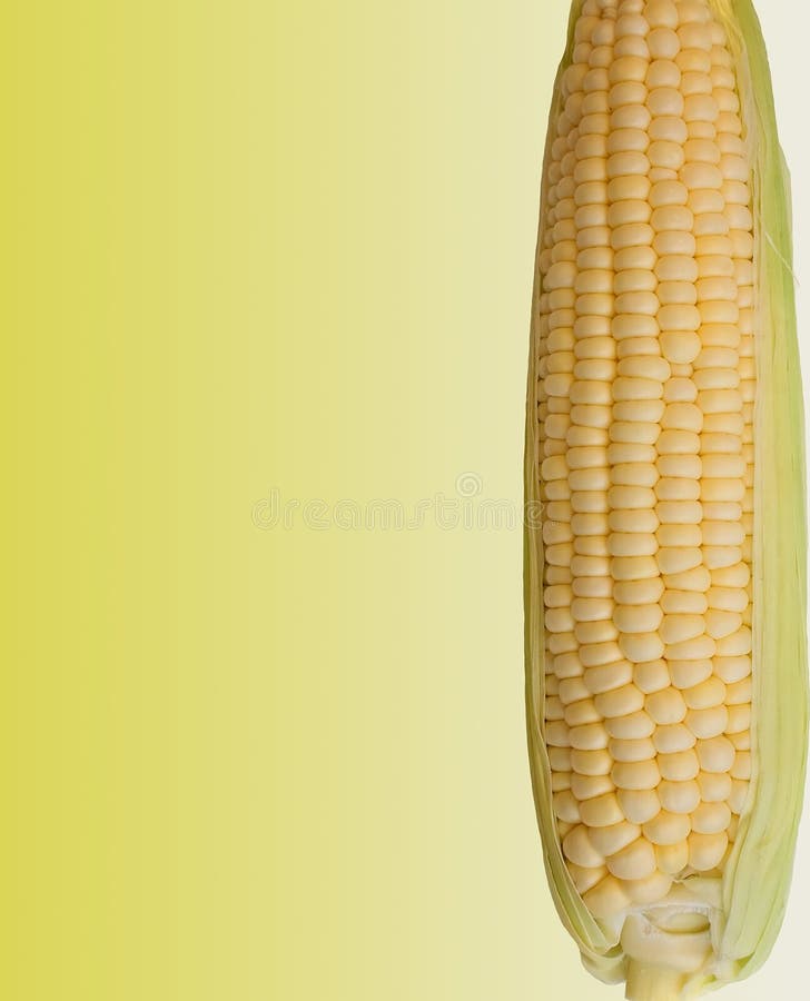 Corn on the Cob