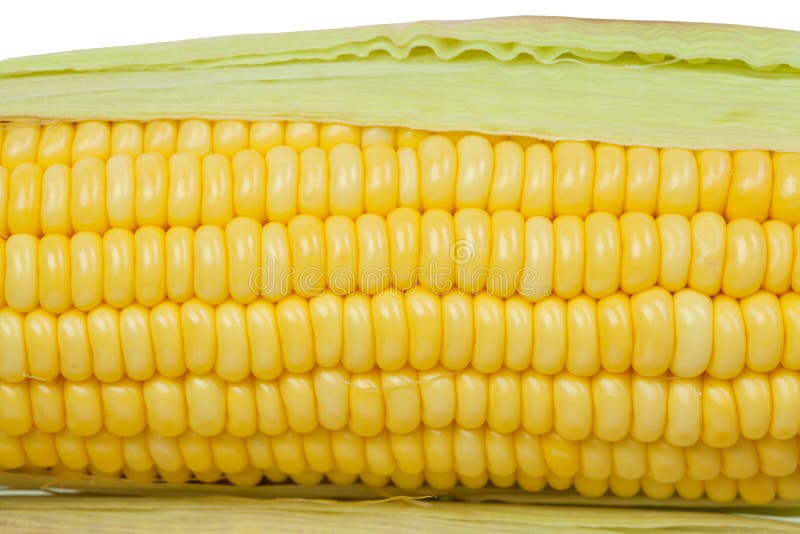 Corn cob