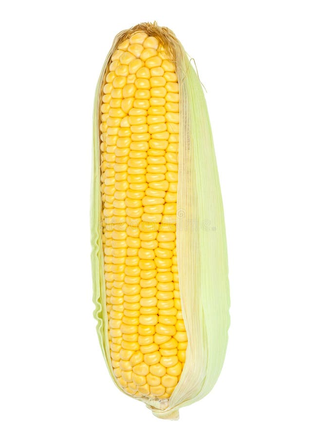 Corn cob