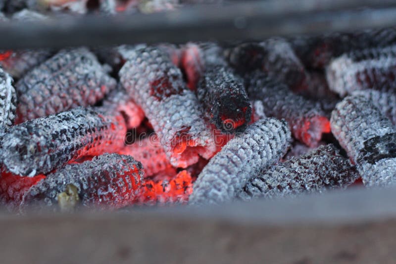 Burning corn cobs stock photo. Image of crisis, corn 26387572