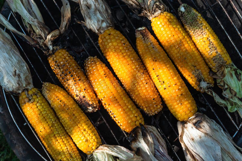 Corn on the Cob on Grill in Home Garden Stock Image Image of garden