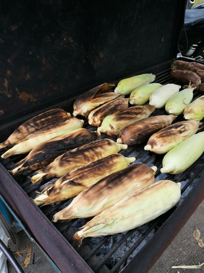 Corn Cob grilling on stove stock photo. Image of closeup 82827314