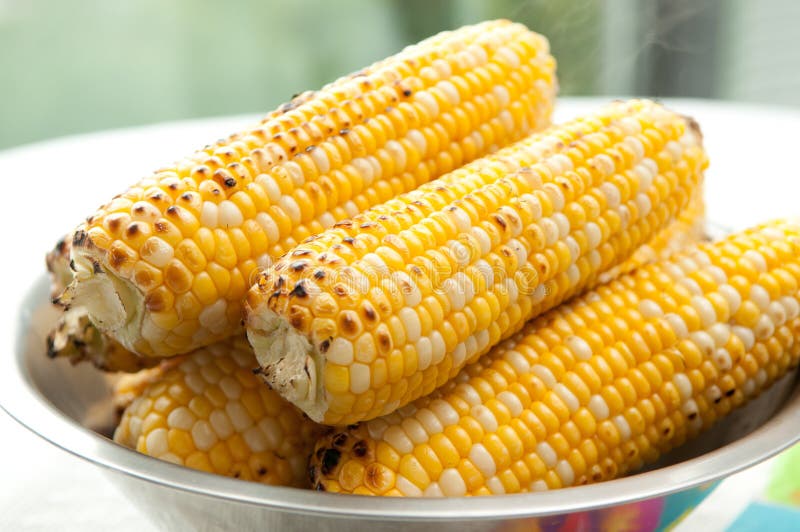 Corn Cobs Roasted on a Grill Stock Image Image of grilled, gourmet