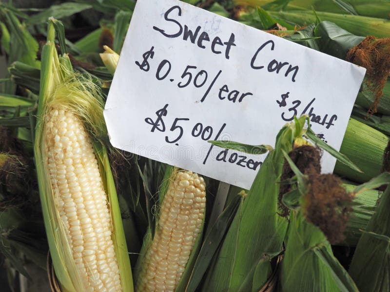 Corn at Farmers Market stock photo. Image of food, summer 64223506