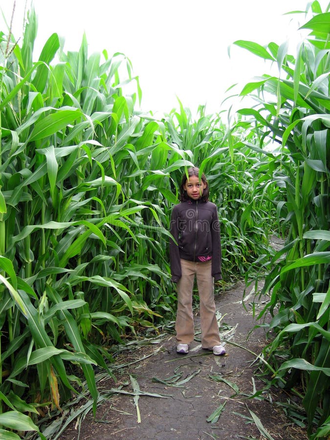 Corn field