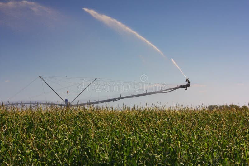 Corn field irrigation stock image. Image of spurt, country 33104623