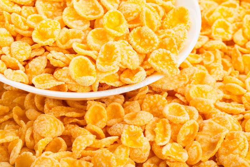 Corn flakes in a bowl stock image. Image of white, bowl 24046671