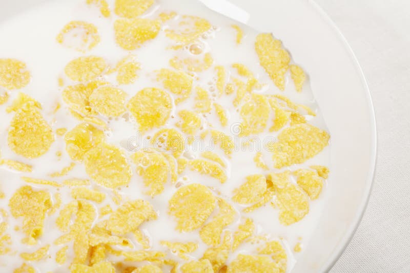 Corn flakes in milk stock image. Image of cereals, breakfast 17824837
