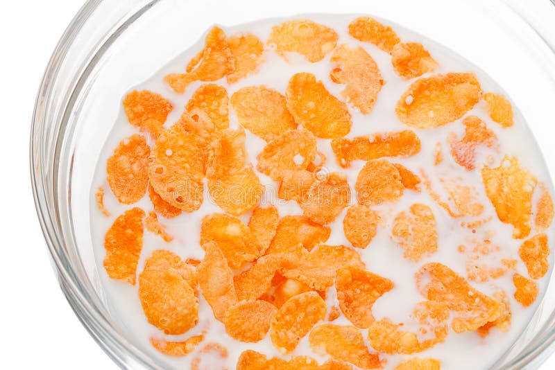 Corn flakes with milk stock photo. Image of fiber, dietary 22916452