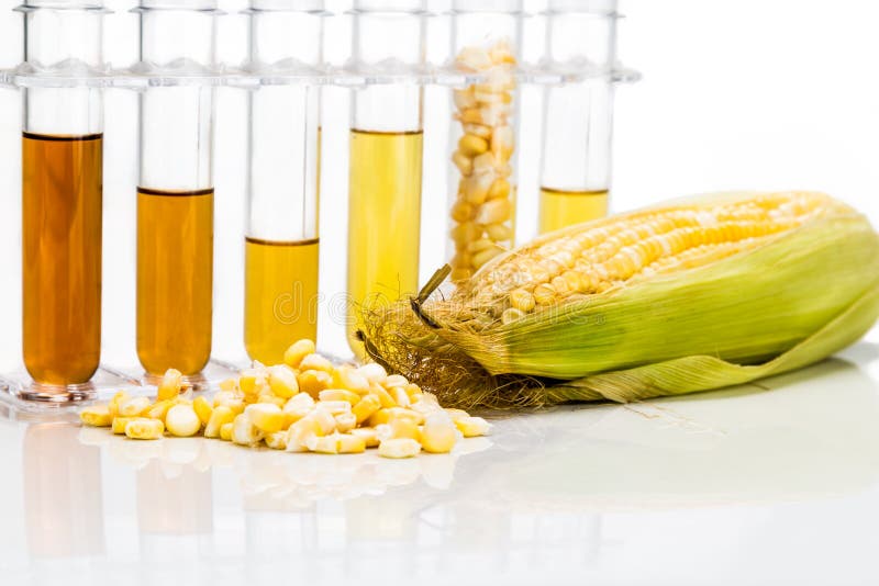 E85 Ethanol Gas stock image. Image of husk, conserve, corn 8569941