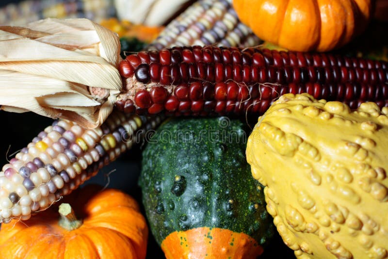 Corn, Gourds, and Pumpkins