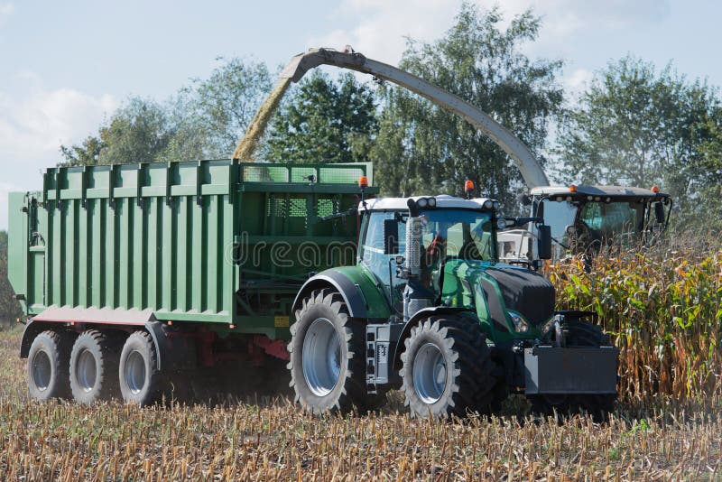 Corn Harvest, Corn Forage Harvester in Action, Harvest Truck with