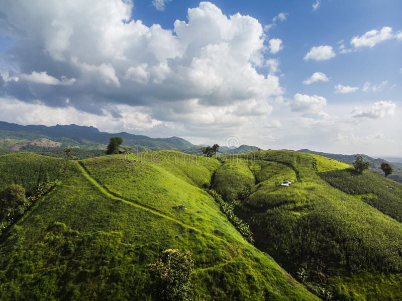 Corn industry on the Mountain in Thailand