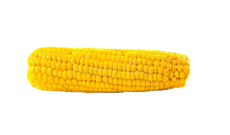Corn isolated on white stock photo