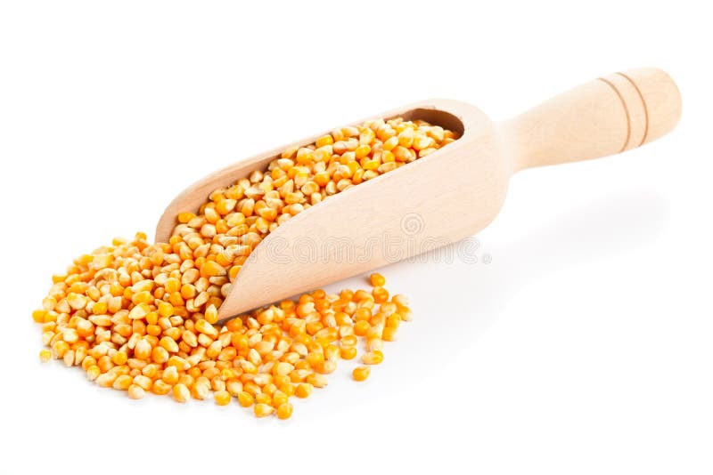 Corn kernels stock image. Image of vegetarian, yellow 34571505
