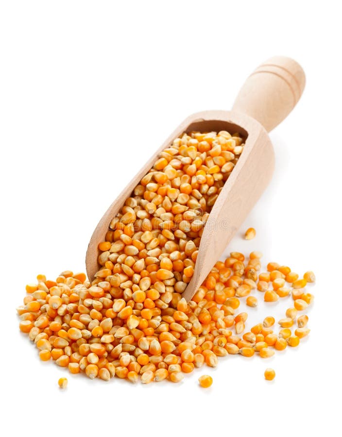 Corn kernels stock photo. Image of heap, vegetarian, diet 34571548