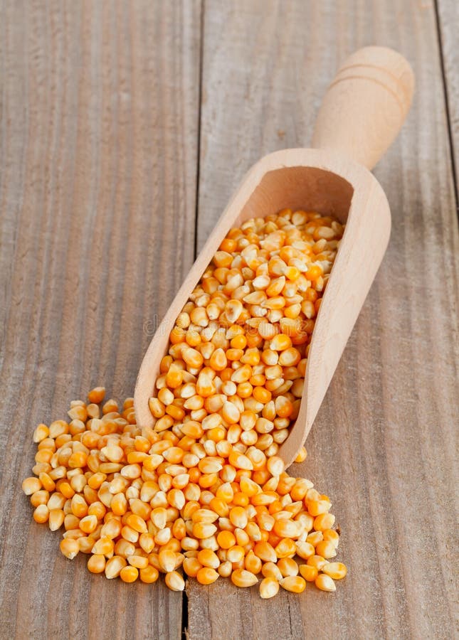 Corn kernels stock photo. Image of heap, vegetarian, diet 34571548