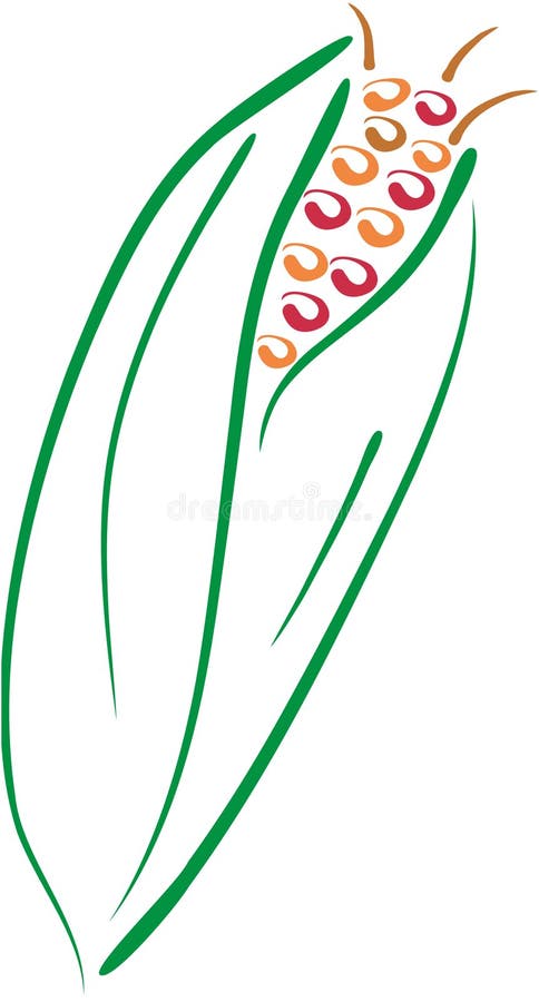 Corn lineart royalty free illustration Corn lineart royalty free illustration
