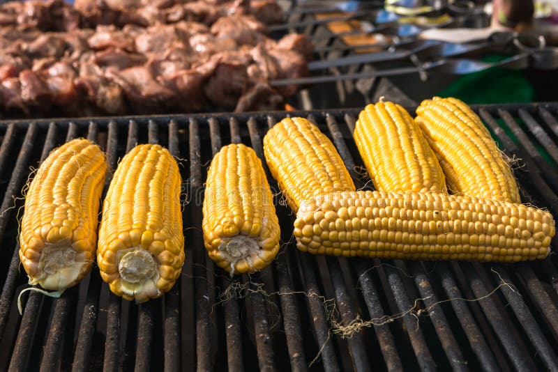 Corn Roast on the Grill. Cooking As a Hobby. Professional Cooking Stock