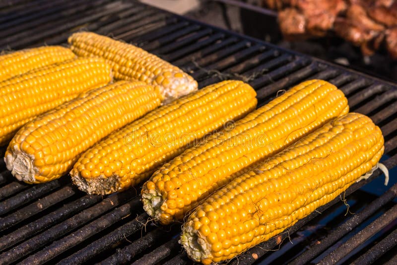 Corn Roast on the Grill. Cooking As a Hobby. Professional Cooking Stock