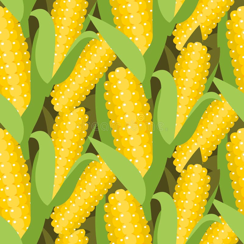 Corn seamless pattern vector illustration. Maize ear or cob.