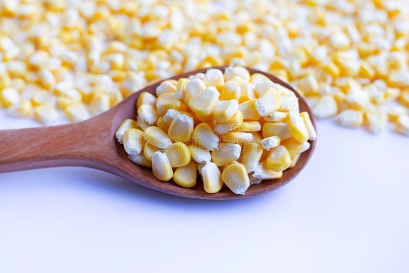 Corn Seeds and Ripe Corn Cobs on White Background. Stock Photo Image