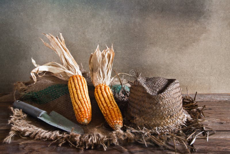 Corn shovel hat stock image. Image of farmer, traditional 36630985