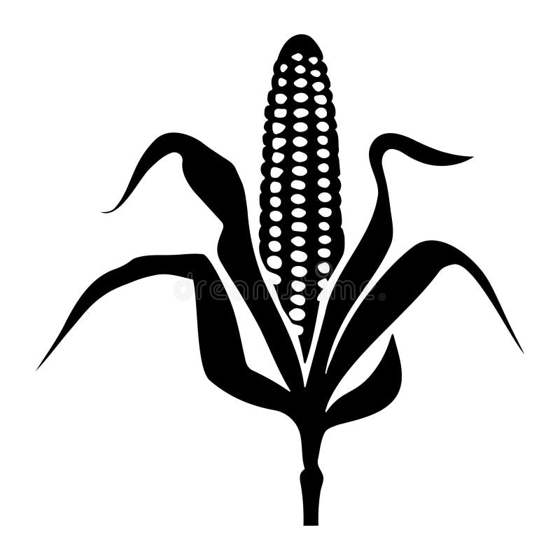 Corn Cob Silhouette Stock Illustrations – 451 Corn Cob Silhouette Stock ...