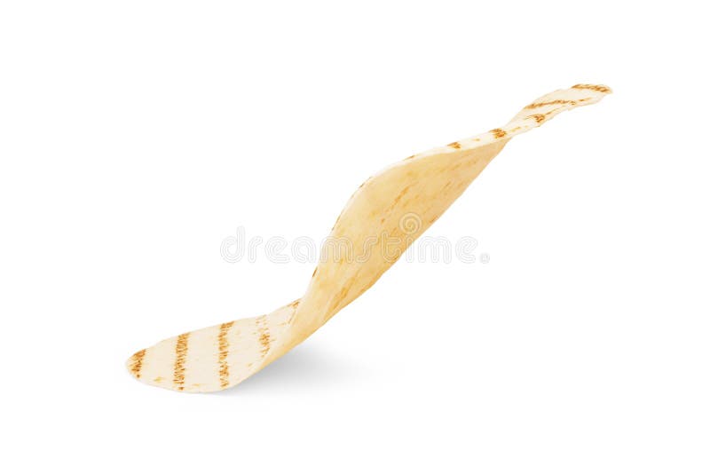 Corn Tortillas on White Background. Unleavened Bread Stock Photo
