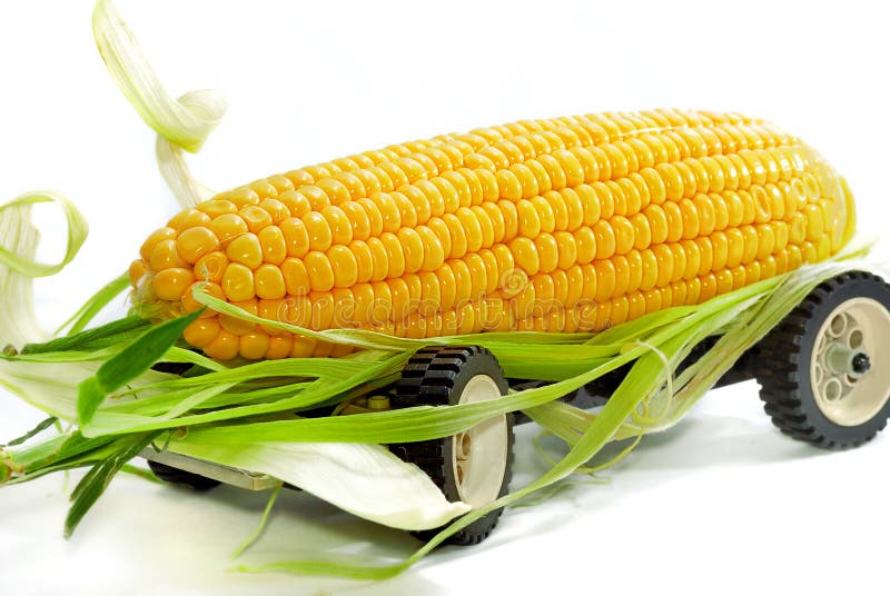 Corn Truck 01 stock photo. Image of freshness, transportation 10558544
