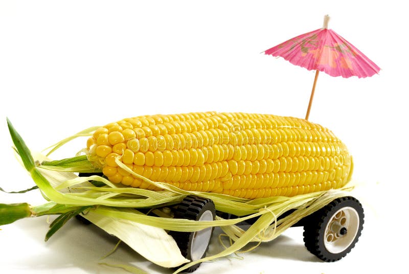 Corn Truck 01 stock photo. Image of freshness, transportation 10558544