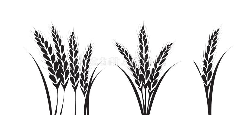 free wheat clipart