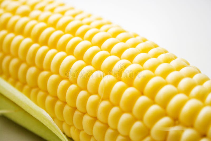 The corn on white