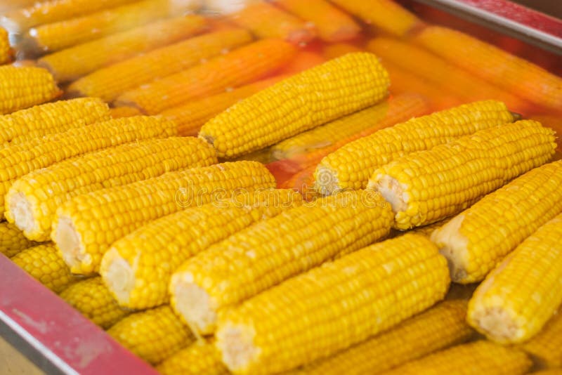 Corncobs Cooked, Yellow Corn for Sale Stock Photo Image of ripe