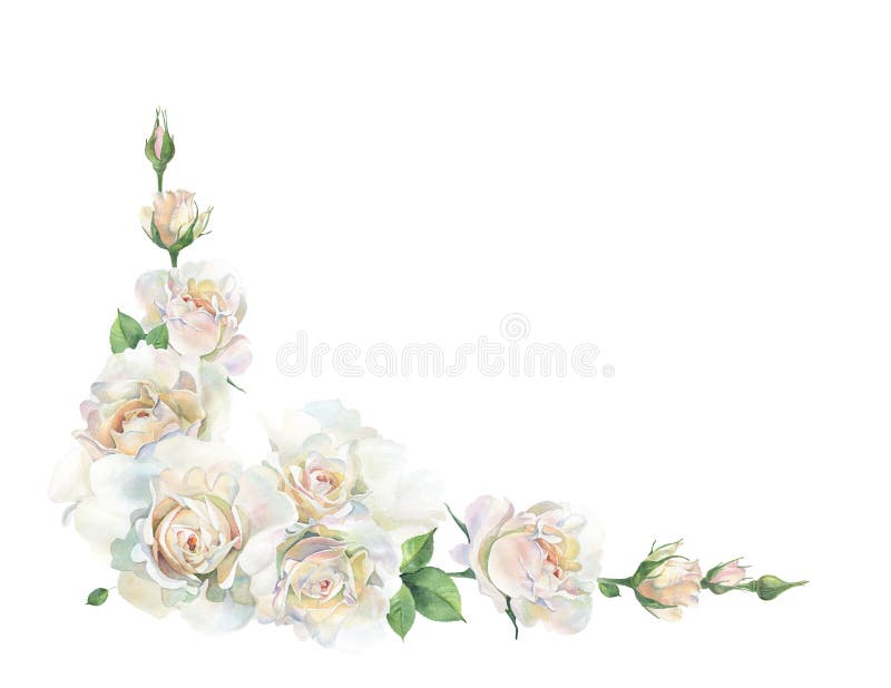 Corner of pink and white roses on a white background royalty free illustration Corner of pink and white roses on a white background royalty free illustration