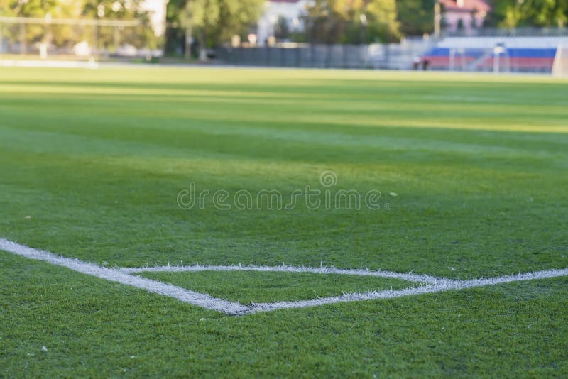 Corner of soccer field, pattern of green grass for football sport, football field, stadium, sport texture, selective