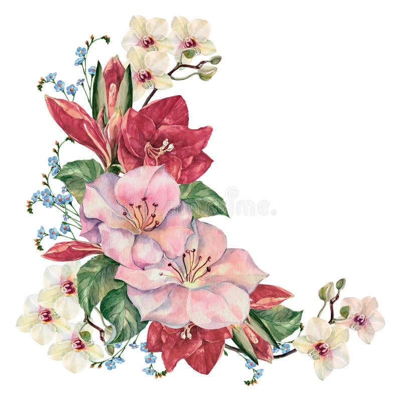 pix Flower White Background With Design white corner flowers stock