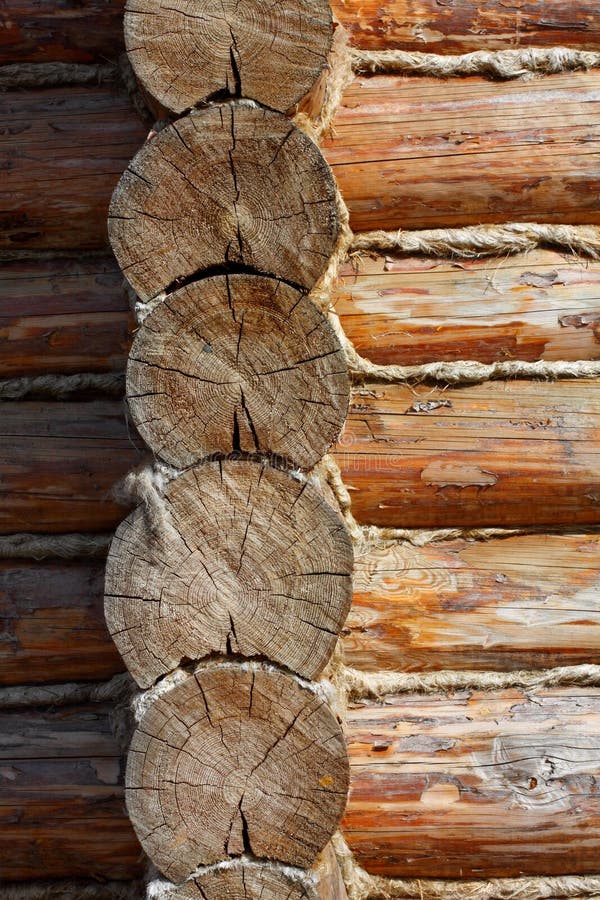 Corner of the wooden house constructed of pine logs. Rustic wooden log house stock images, royalty-free photos and pictures
