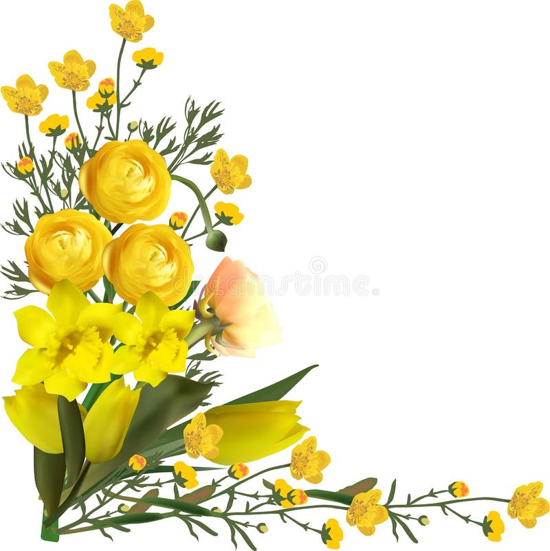 Góc hoa vàng cách ly trên nền trắng là một hình ảnh muôn sắc, đẹp như tranh vẽ. Sự phân tách giữa hình ảnh hoa và nền trắng tạo nên sự tinh tế, cân đối tuyệt đối. Bấm vào đây để chiêm ngưỡng hình ảnh tuyệt đẹp này và để những bông hoa vàng sẽ mang lại niềm vui cho ngày mới của bạn.