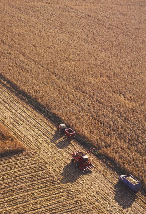 Cornfield with heavy farm equipment