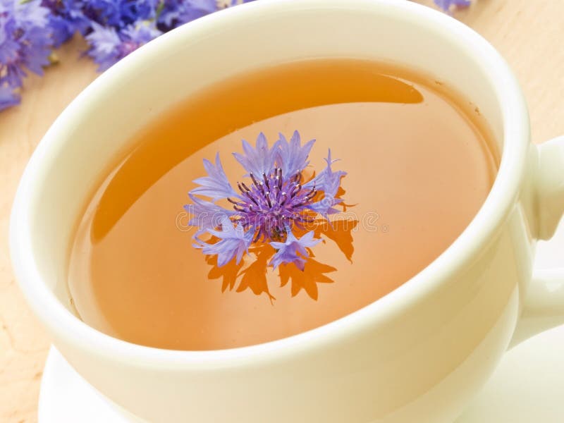 Cornflower tea stock photo. Image of ornate, antioxidant 14776218