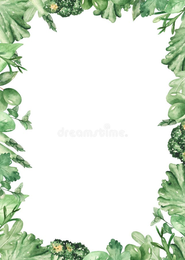 Cornice rettangolare di colore d'acqua con erbe fresche illustrazione vettoriale