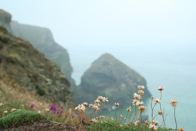 Cornish Beach