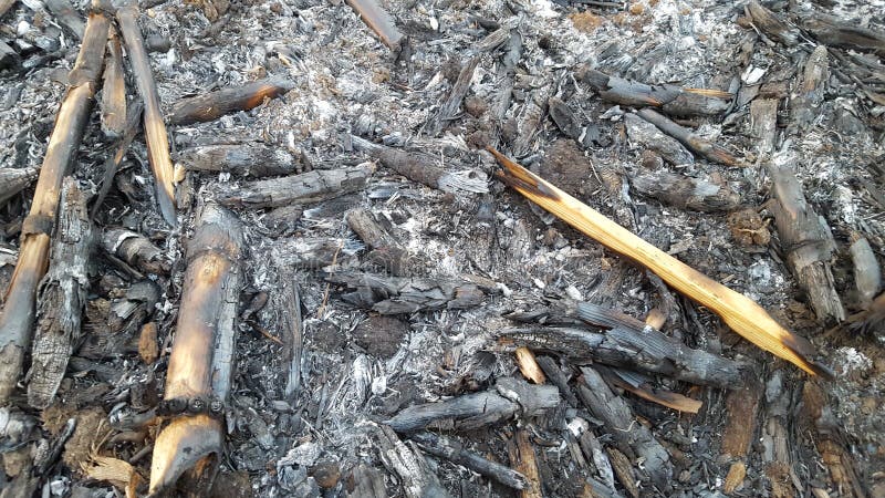 Corn stalks are piled up and burned as natural fertilizer when entering the rainy season and planting changes. Corn stalks are piled up and burned as natural fertilizer when entering the rainy season and planting changes